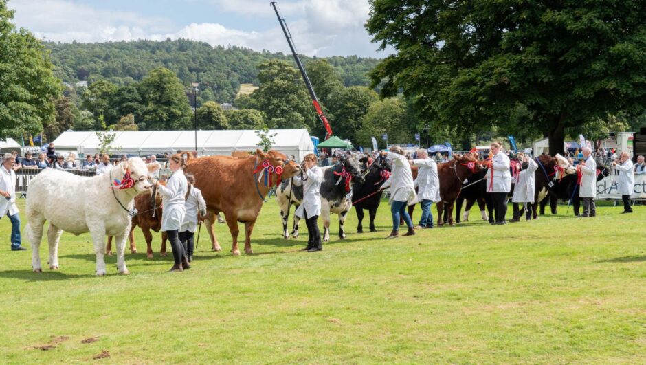Perth Show