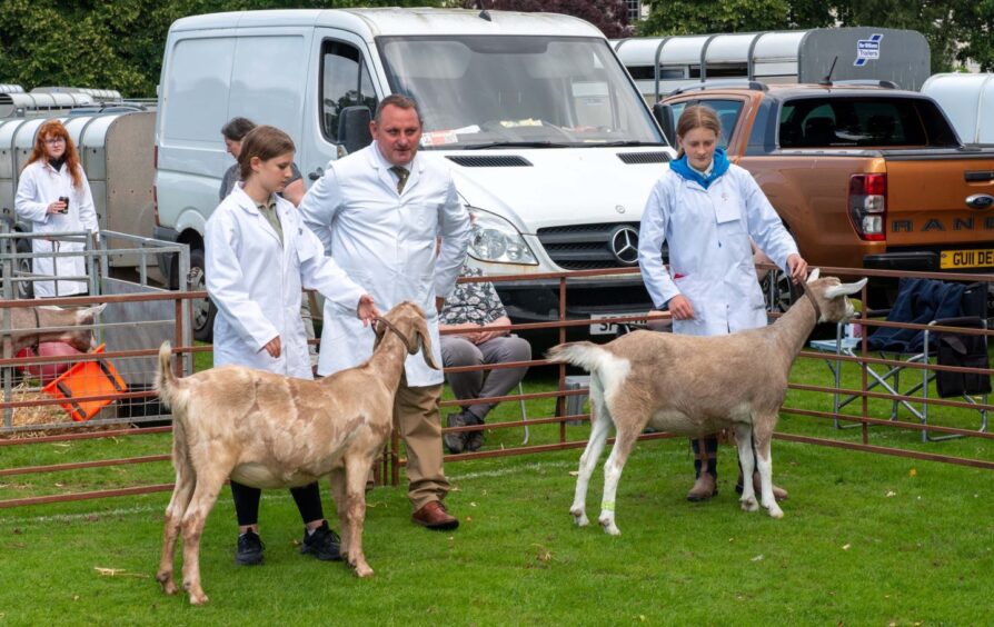 Perth Show