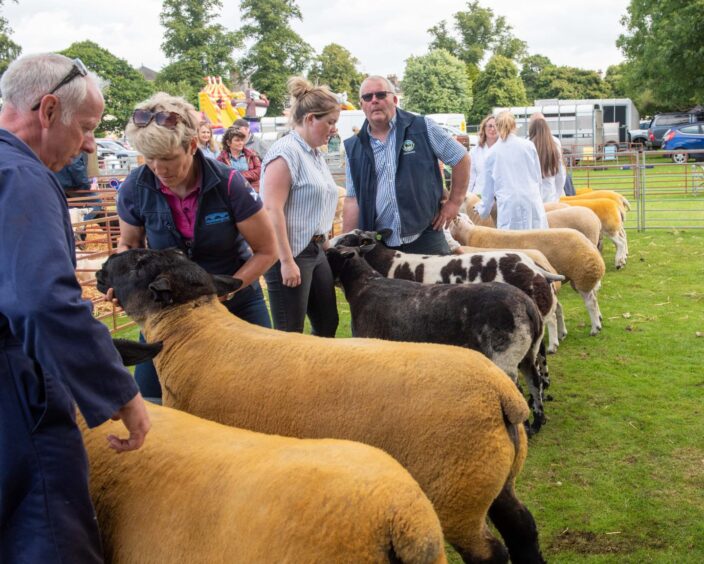 Perth Show