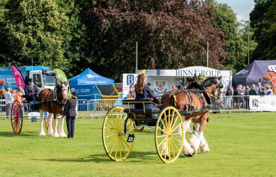 Perth Show