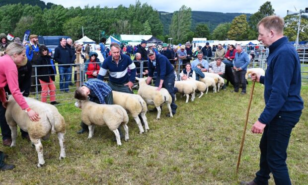 Aberfeldy Show