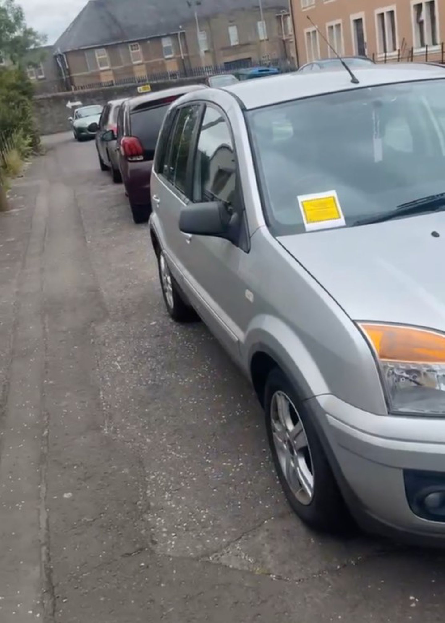 Several cars parked on the pavement on Arklay Terrace.