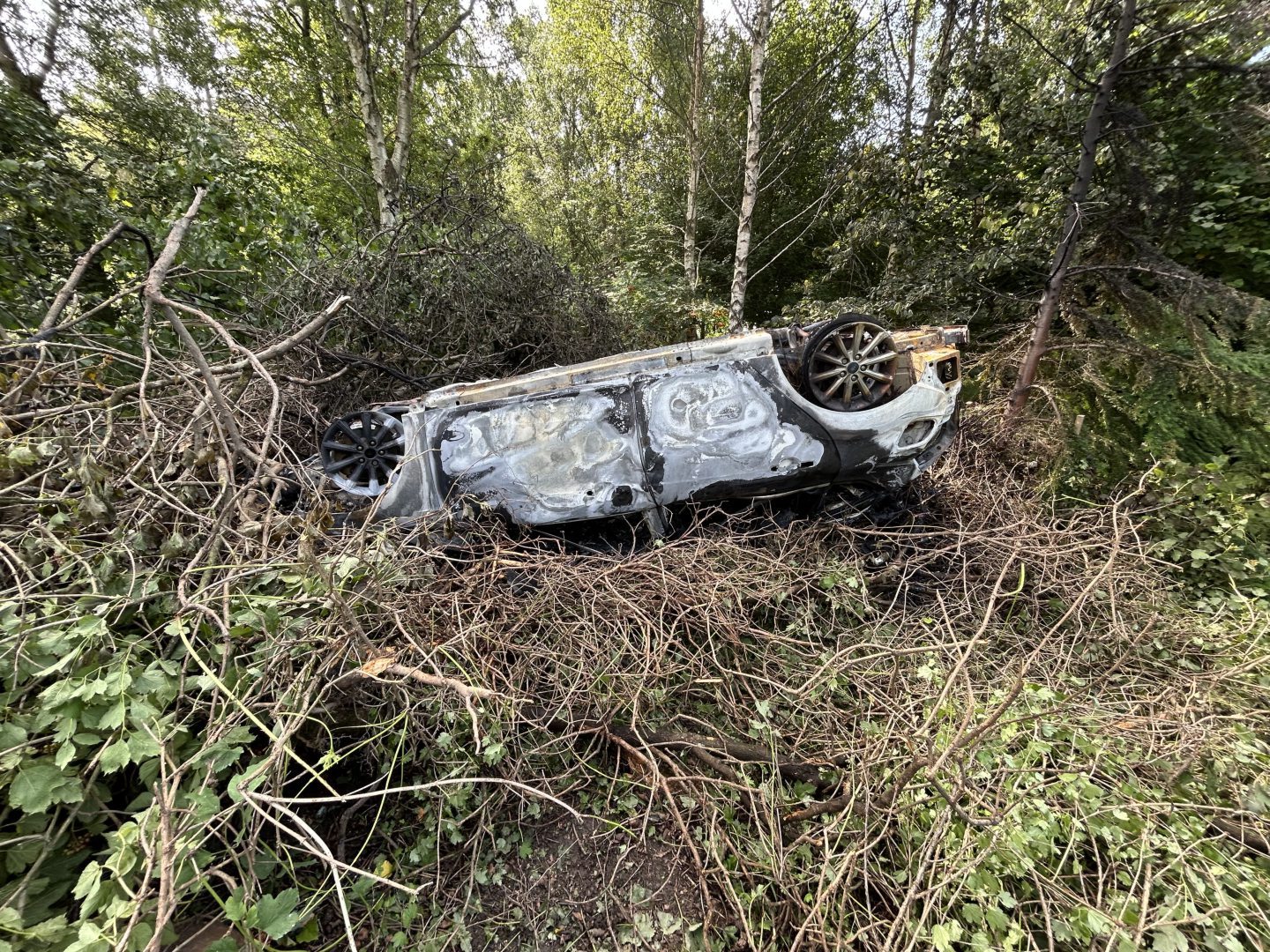 Police are continuing to search for the missing driver.