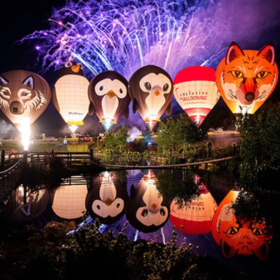 Colourful hot air balloons  reflected in water with fireworks going off in the background. For Perthshire What's On.