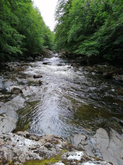 River Tilt, showing fast-moving water over rocks.