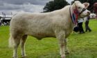 Braco Show