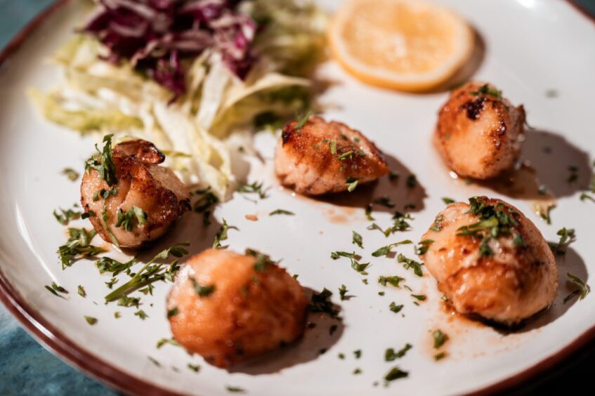 A close up image of some seared scallops served at 1876 in Broughty Ferry.