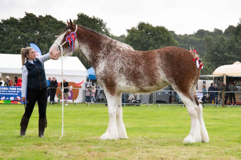 Doune and Dunblane Show