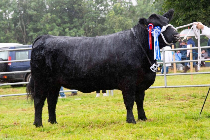 Doune and Dunblane Show.