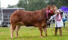 Doune and Dunblane Show