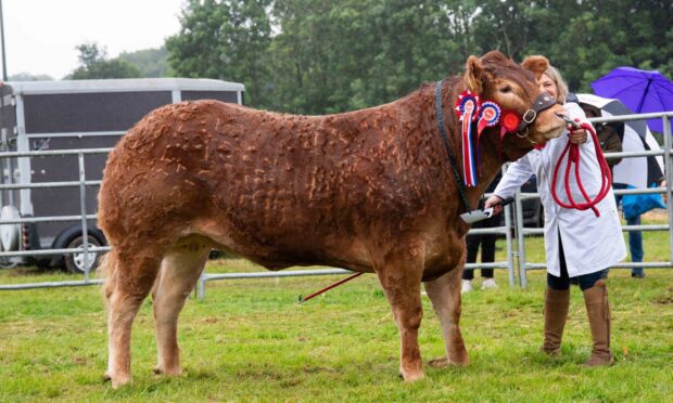 Doune and Dunblane Show