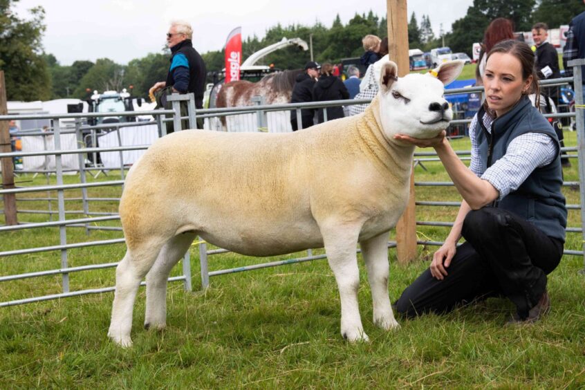 Doune and Dunblane Show