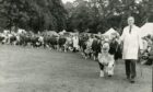 Perth Show