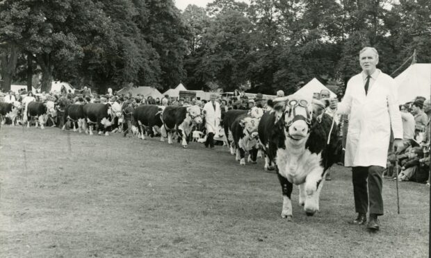 Perth Show