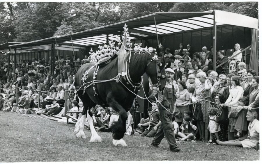 Perth Show