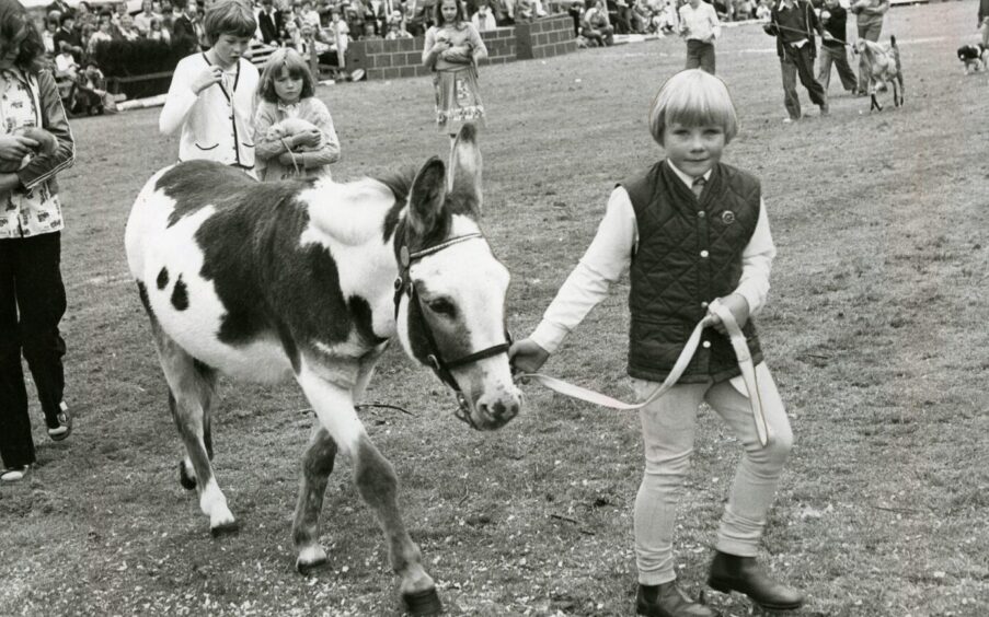 Perth Show