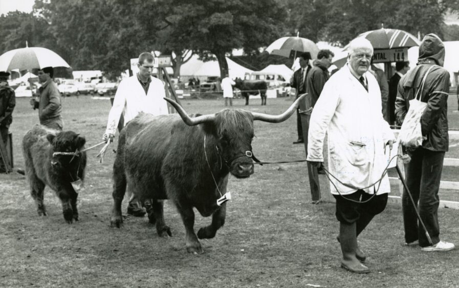 Perth Show