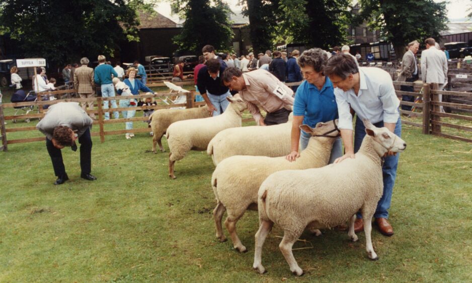 Perth Show