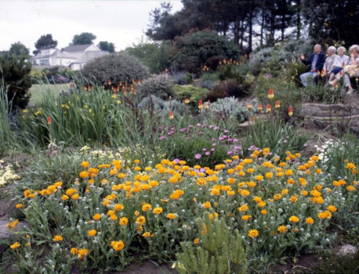 Barnhill Rock Garden in July 1989.