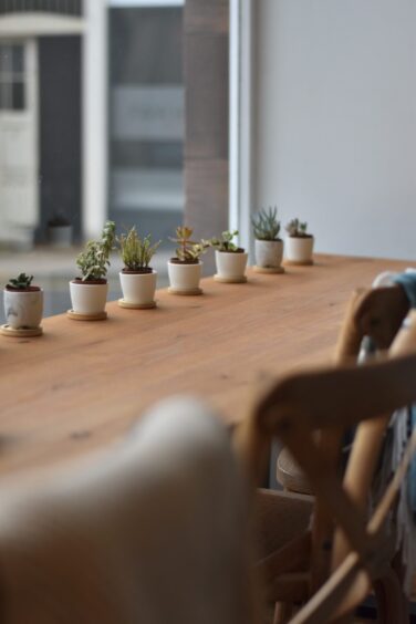 A window facing counter at Ems & Co.