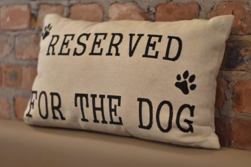A cushion inside The Kitchen Table