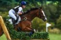 horse-and-rider-mid-jump
