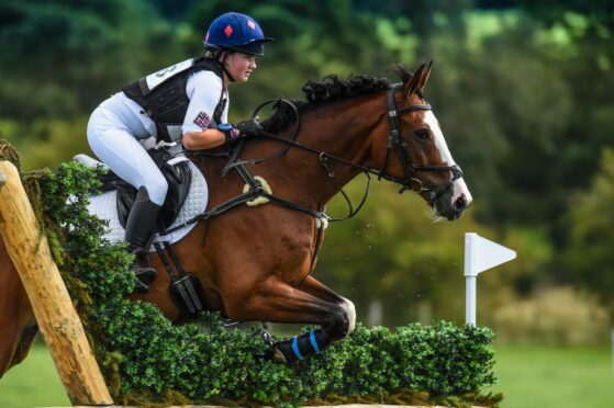 horse-and-rider-mid-jump