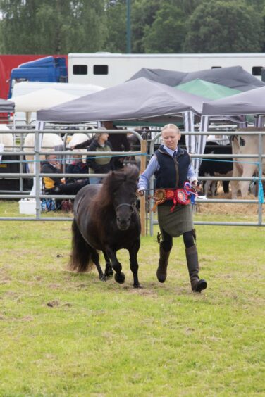 Blonde woman walks black miniature pony with multiple rosettes at Doune and Dunblane Show 2025.