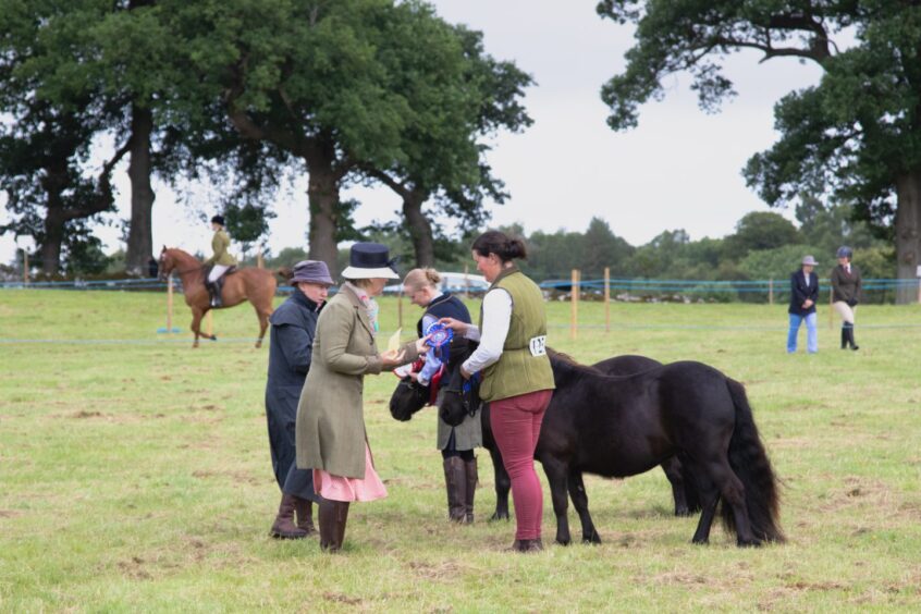 Handlers with black miniature ponies receive prize ribbons from a judge in hat and coat at Doune and Dunblane Show 2025.
