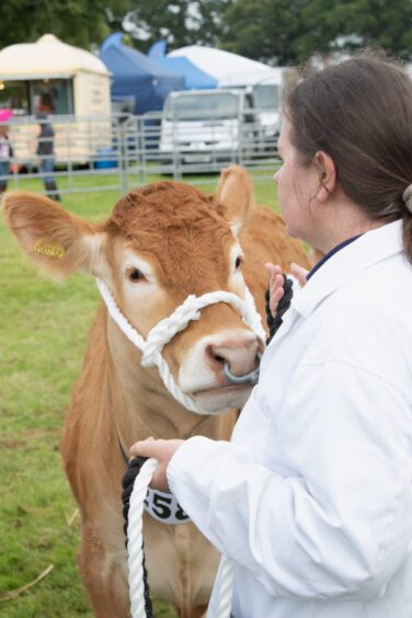 Woman in white coat holds a rope halter on a young calf at Doune and Dunblane Show 2025.
