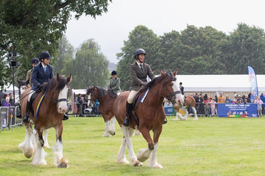 Several riders on large Clydesdale horses take part in a judging parade at Doune and Dunblane Show 2025.