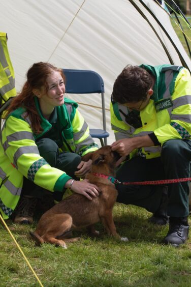 Male and female ambulance workers in high-vis jackets pet a small brown dog beside a tent at Doune and Dunblane Show 2025.