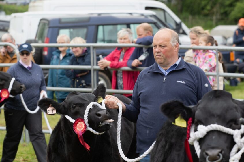 Man in navy jumper walks red-rosetted Aberdeen Angus past spectators at Doune and Dunblane Show 2025.