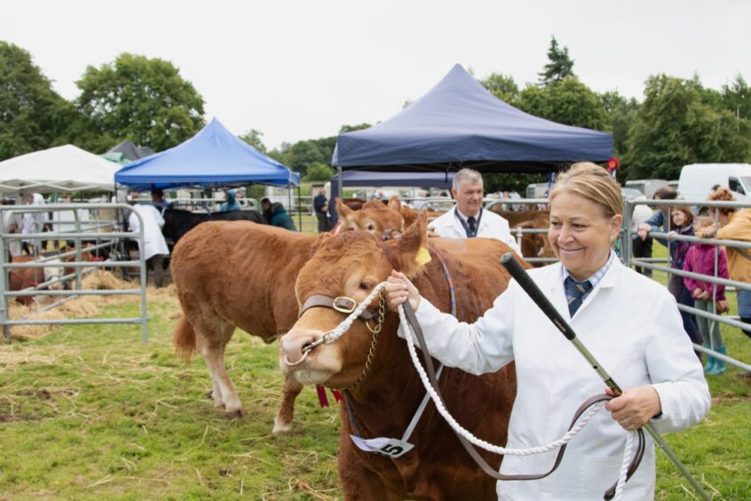 Woman in white coat leads a light brown livestock animal on a halter past tents and spectators at Doune and Dunblane Show 2025.