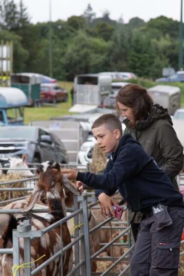 Boy pets a brown and white goat through a metal pen while a woman looks on at Doune and Dunblane Show 2025.