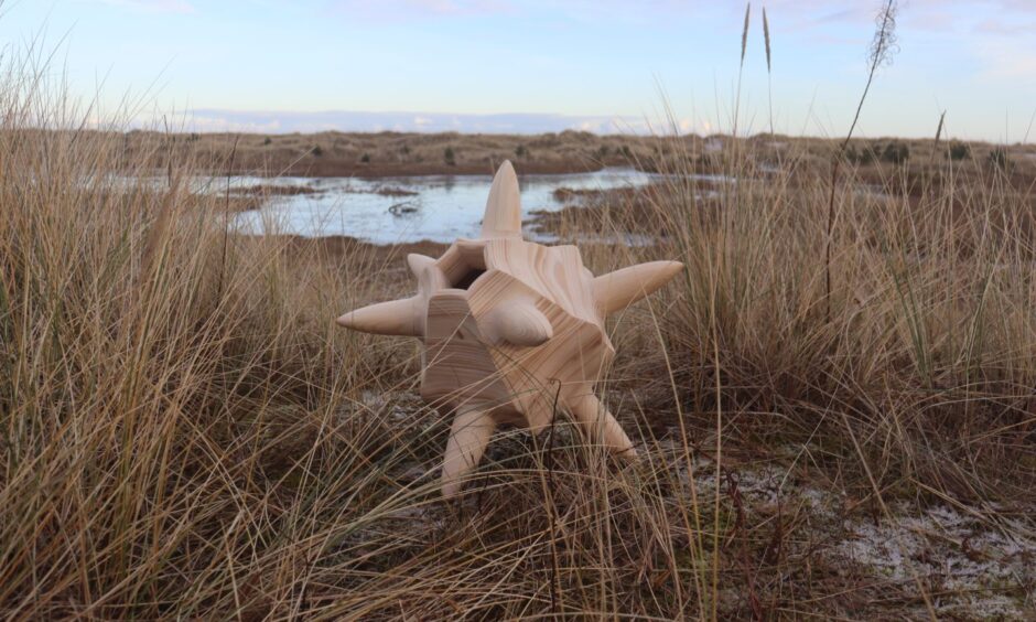 Sculpture by Aimie Harding