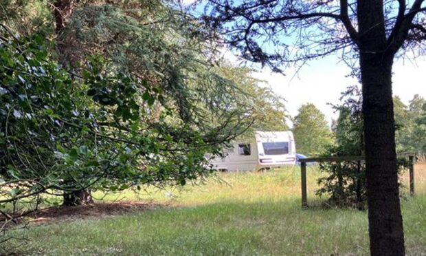 The latest group to arrive at Camperdown includes dogs and chickens. Image: DC Thomson
