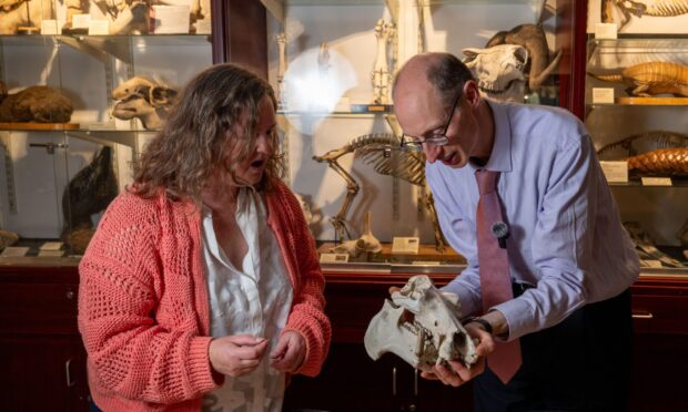 Getting close to a replica skull at D'Arcy Thompson Zoology Museum, Dundee.