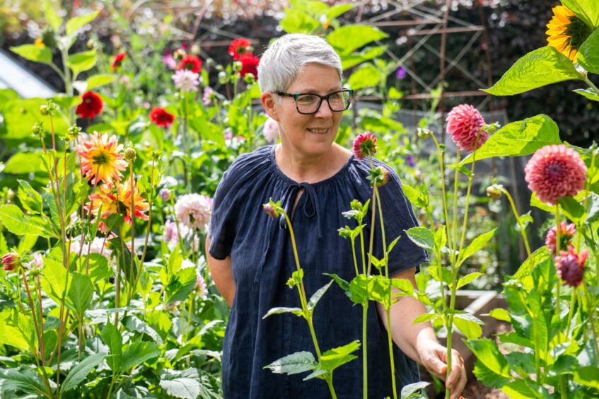 Aileen's Broughty Ferry garden is sure to delight visitors