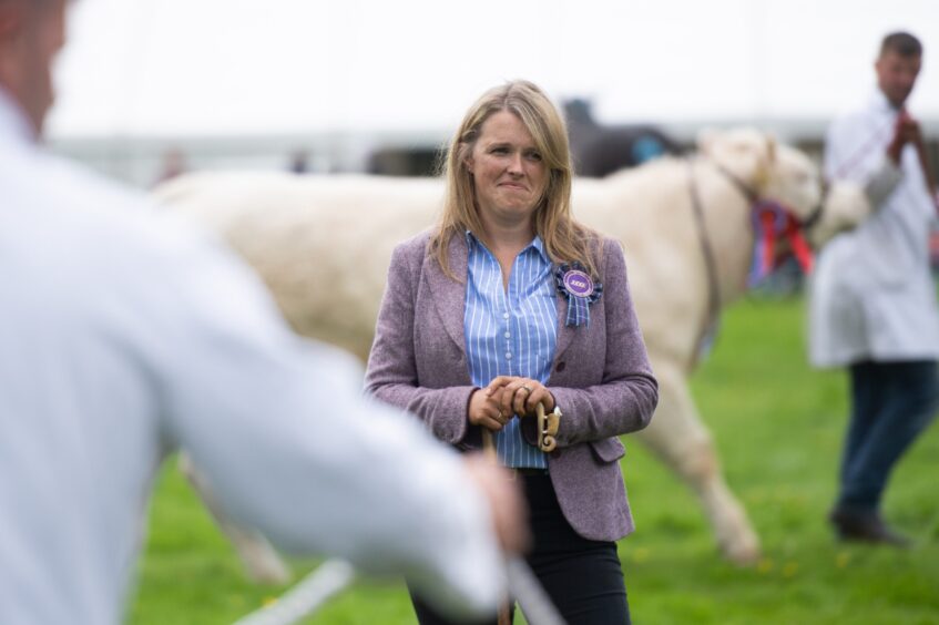 One of the Braco Show judges looks at the best in show entrants.