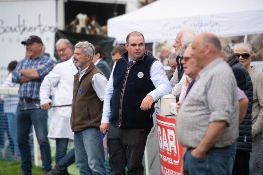 Onlookers take in the judging for the cattle best in show.