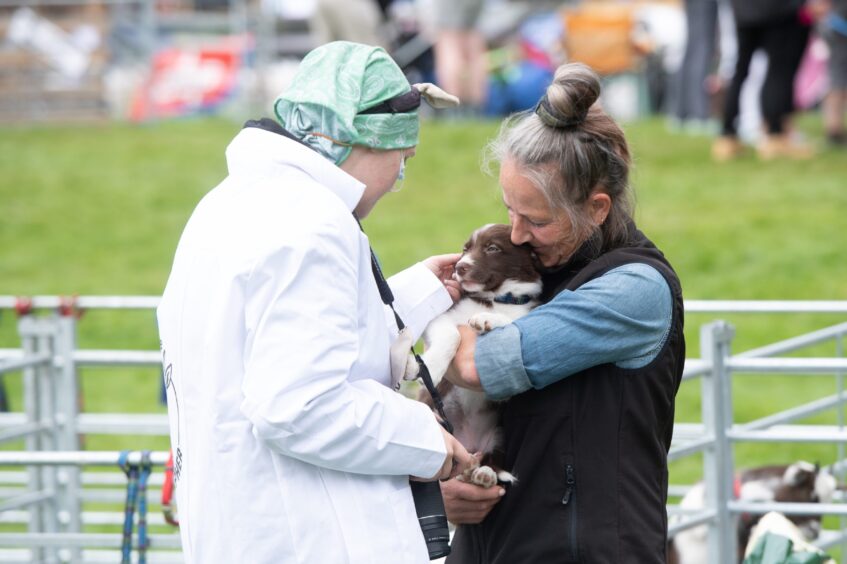 A woman shows off a puppy at the Braco Show.