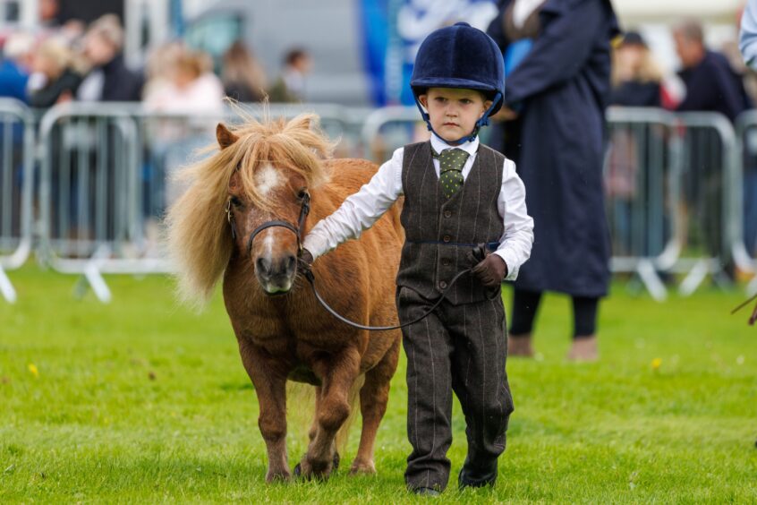 Perth Show