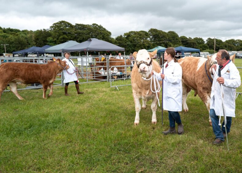 Kirriemuir Show