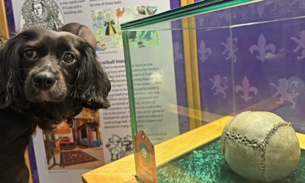 Dogs are welcome at the Stirling Smith museum - but fetch with the world's oldest football is off the table. Image: Ethan Claridge