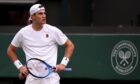 Jack Draper has an 11-month game. Sadly, the other month coincides with Wimbledon. Image: PA