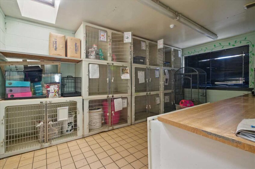 Petterden SSPCA centre between Dundee and Forfar.