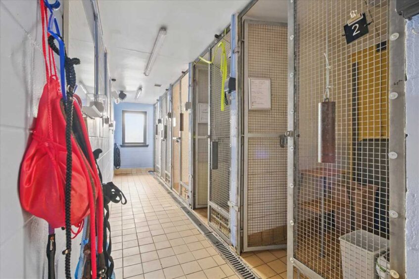 Interior of former Petterden SSPCA centre in Angus