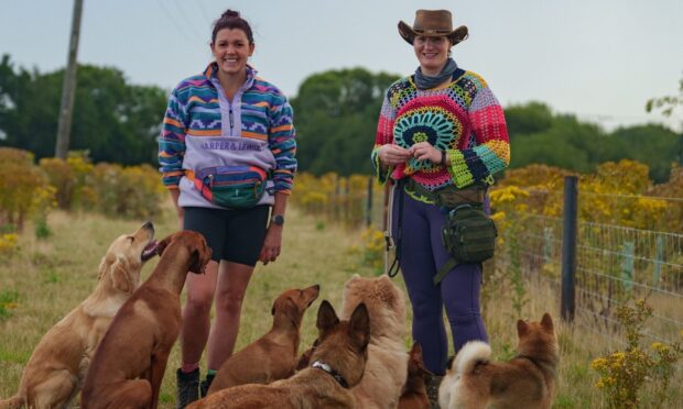 Jessie Montague and Jessica Probst walking some of their clients dogs. Image: Jessie Montague