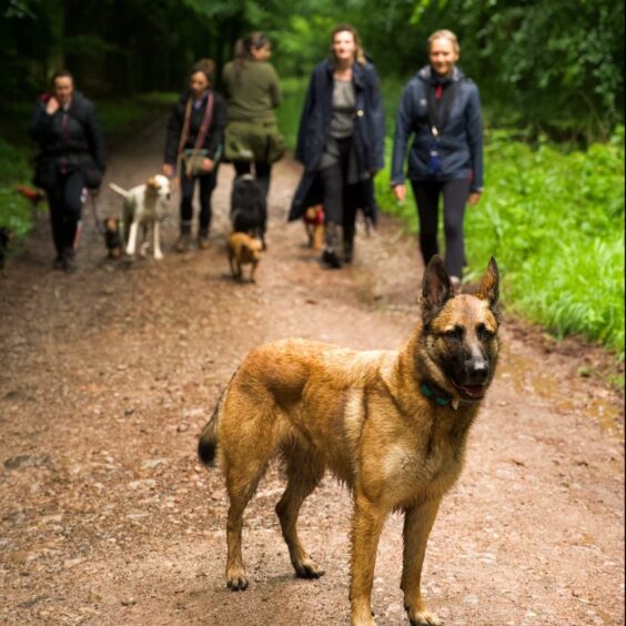 Jessie with a group of like minded dog owners. Image: Jessie Montague
